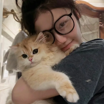 百分百感觉国语